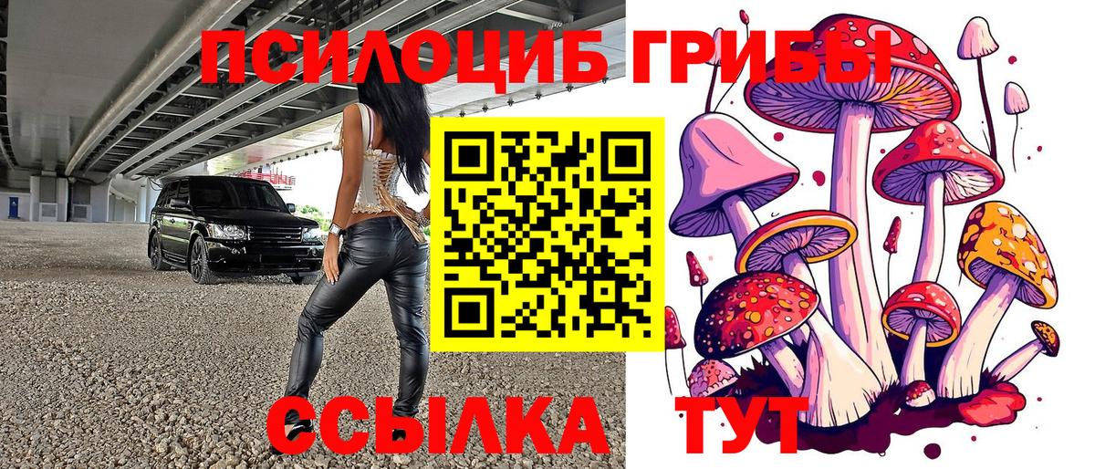 Псилоцибиновые грибы GOLDEN TEACHER Магнитогорск